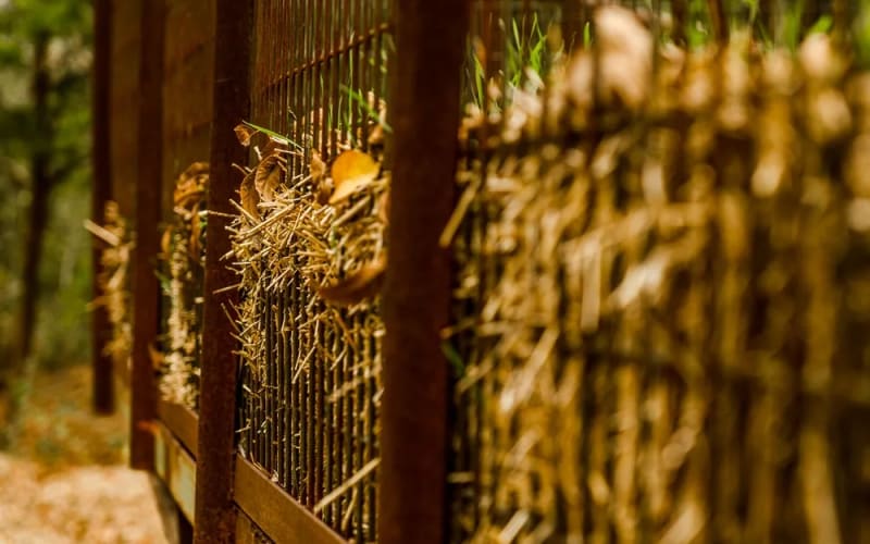 Blase Family Farm, from its own website