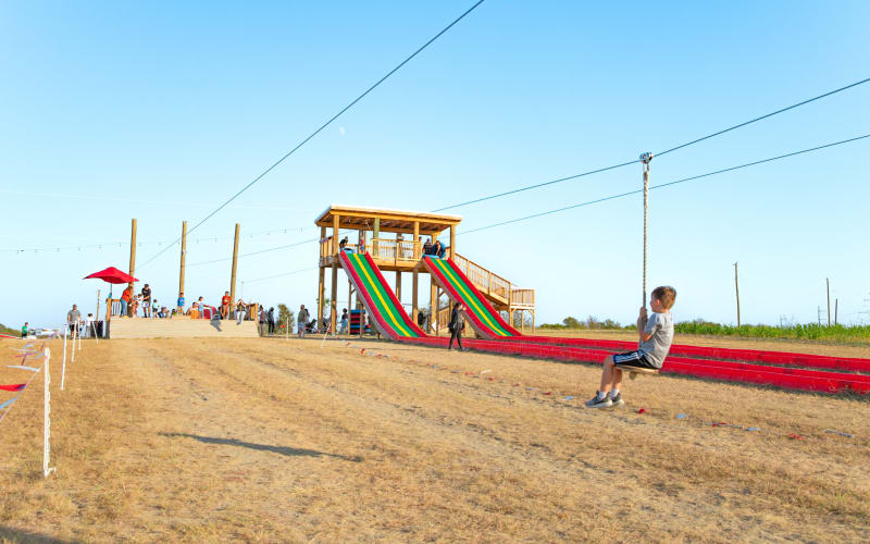 Robinson Family Farm | Pumpkin Patch, Easter & Events in Central Texas, from its own website