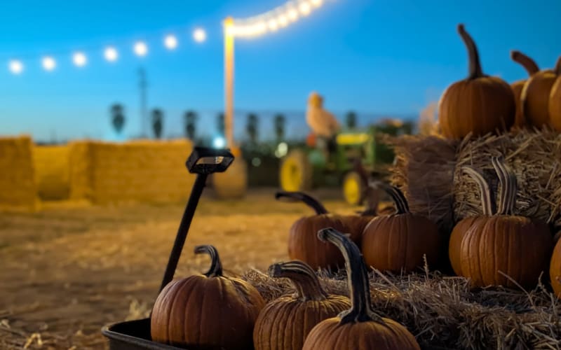 Haps Fantastical Farm, from its own website