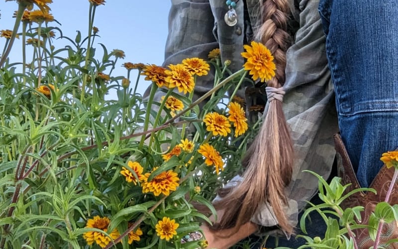 Sweetfields Farm, from its own website