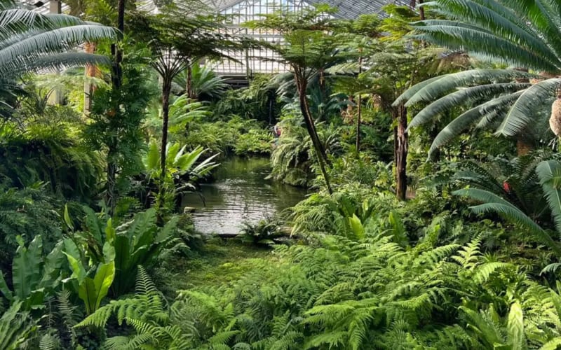 Garfield Park Conservatory, from its own website