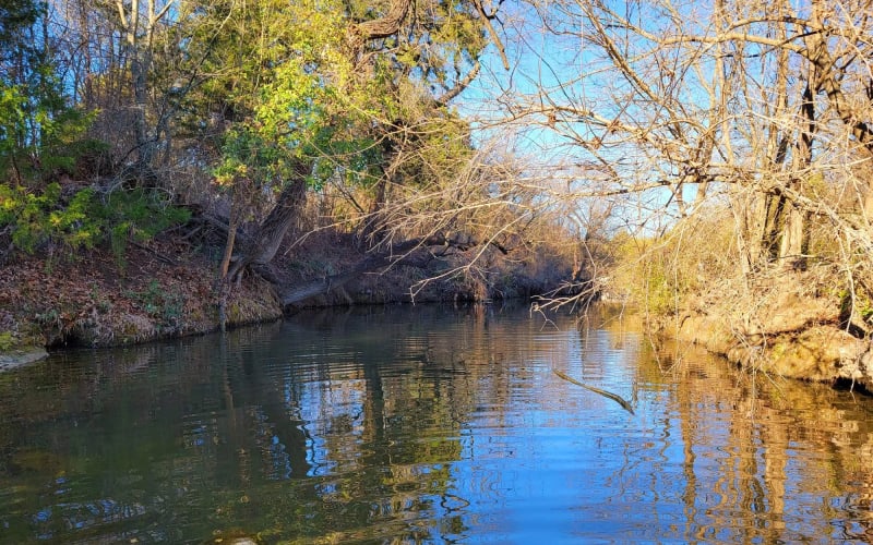 Charles F. Ladd Nature Preserve, from its own website