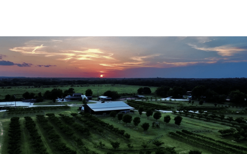 Denton Valley Farms, from its own website