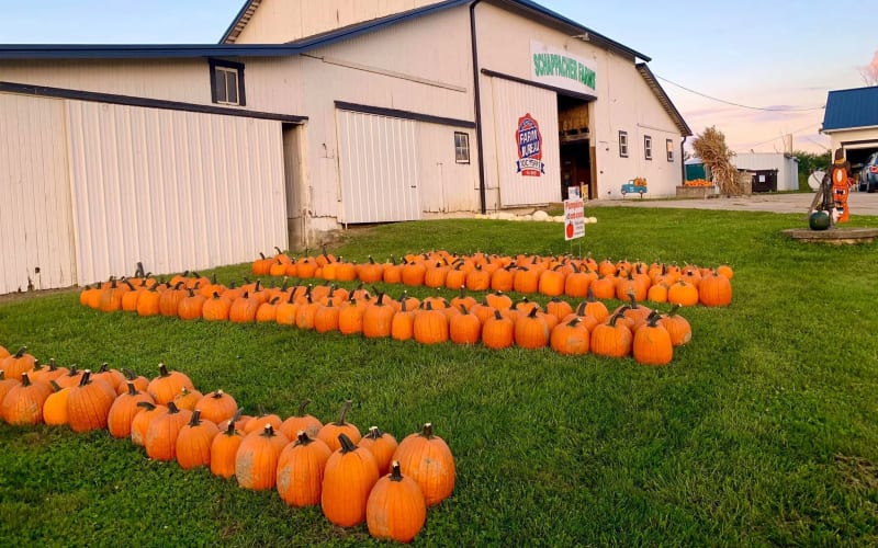 Schappacher Farms, from its own website