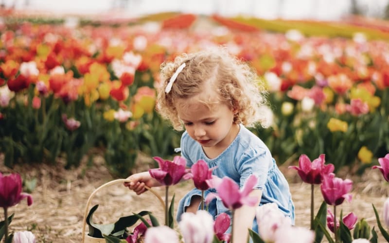 Brown Hill Farms, from its own website
