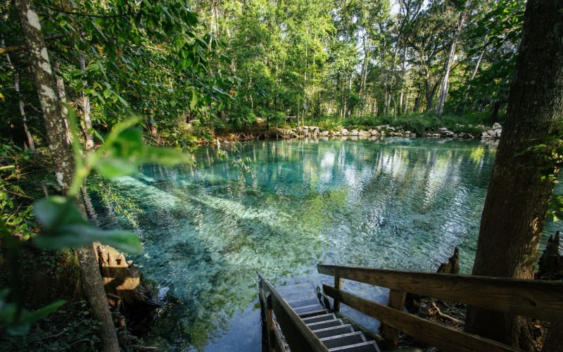 Ginnie Springs Outdoors, from its own website