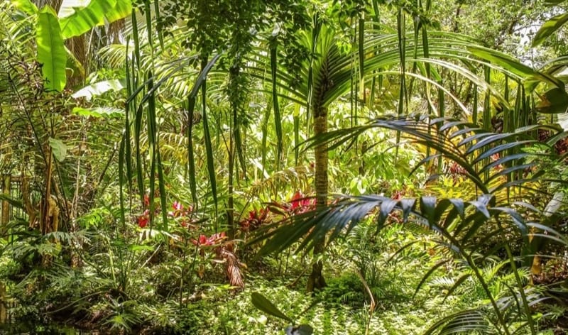 Harry P. Leu Gardens, from its own website