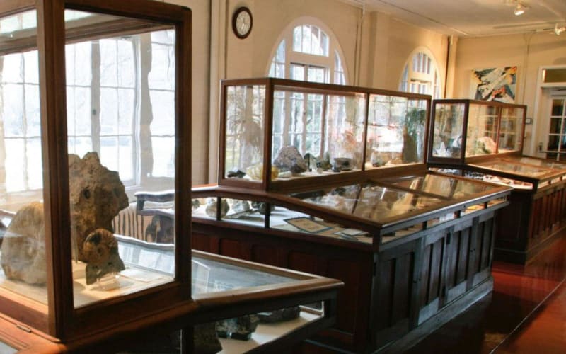 A. Scott Warthin Jr. Museum of Geology and Natural History, from its own website
