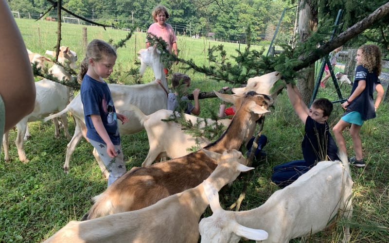Flint Hill Farm Educational Center, from its own website