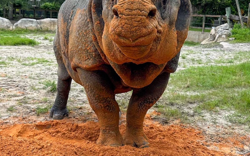 Central Florida Zoo & Botanical Gardens, from its own website