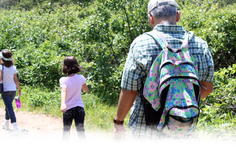 Albany Pine Bush Preserve, from its own website