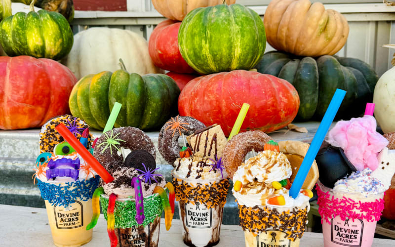 Devine Acres - San Antonio Pumpkin, Christmas & Easter Events, from its own website