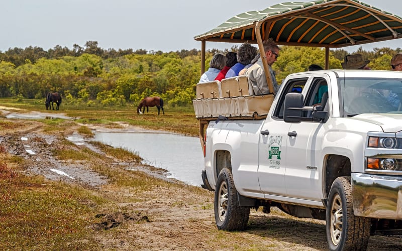 Corolla Outback Adventures, from its own website