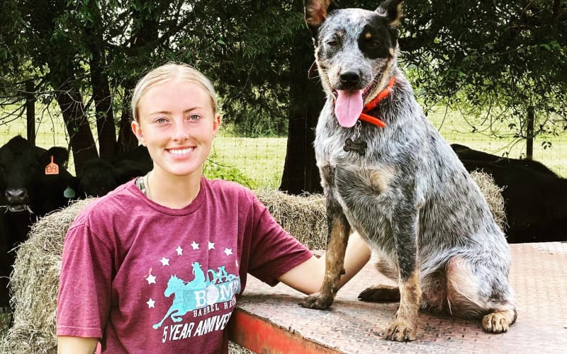 Harmon Family Farm, from its own website
