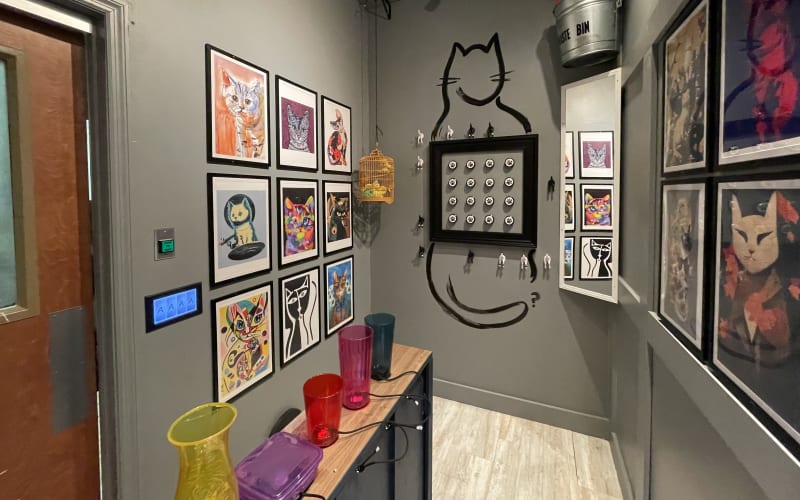 Murfreesboro Escape Rooms (Stones River), from its own website