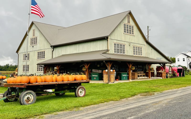 The Green Barn Berry Farm Muncy: from $5 · daysout.com