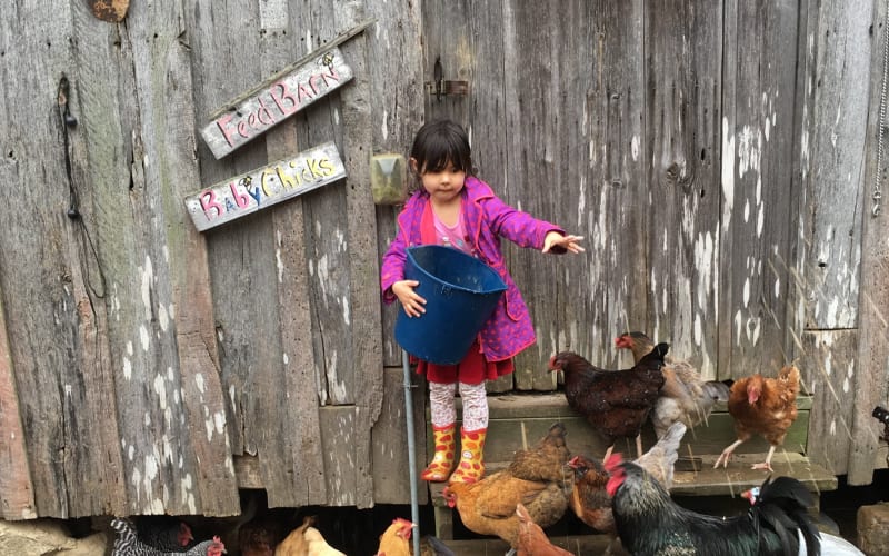 Sunrise Community Farm Center, from its own website