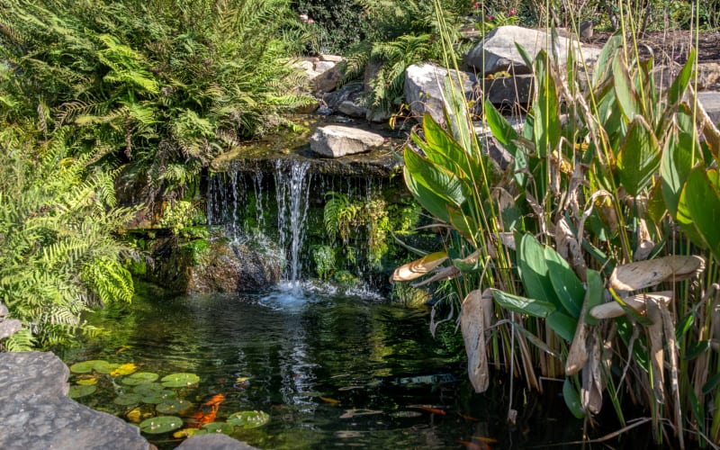 UT Gardens Knoxville, from its own website