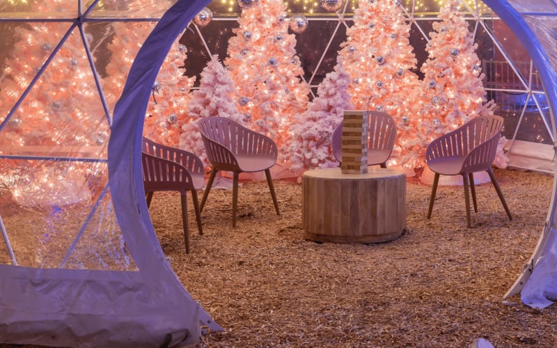 The Desert Fall Festival, from its own website
