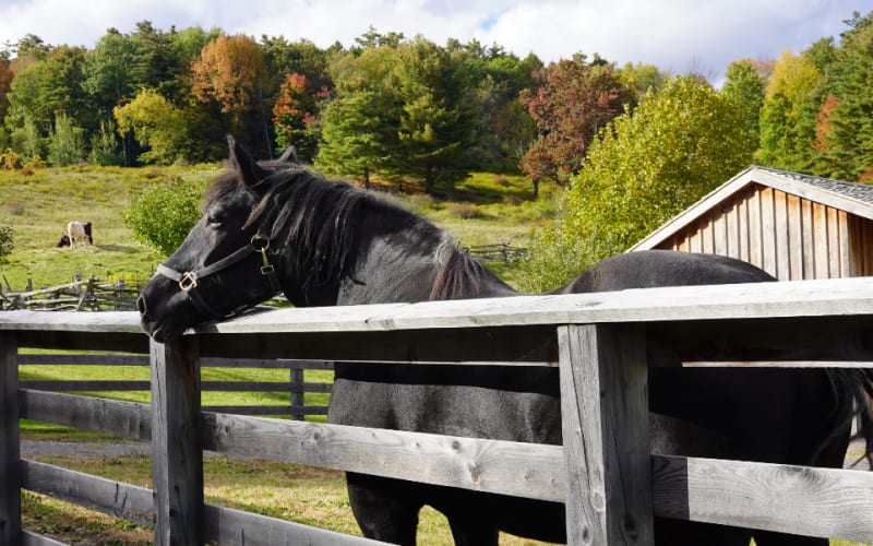 Fenimore Farm & Country Village, from its own website