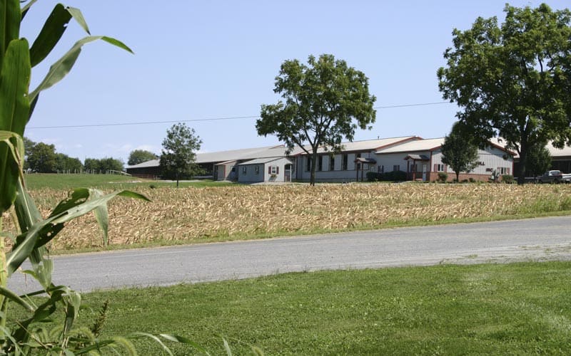 Stoner's Hijos Hill, Inc. Dairy Farm & Corn Maze, from its own website