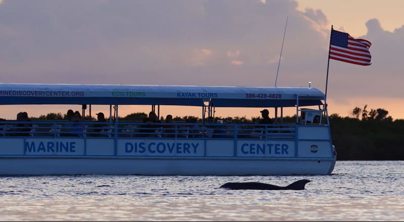 Marine Discovery Center, from its own website