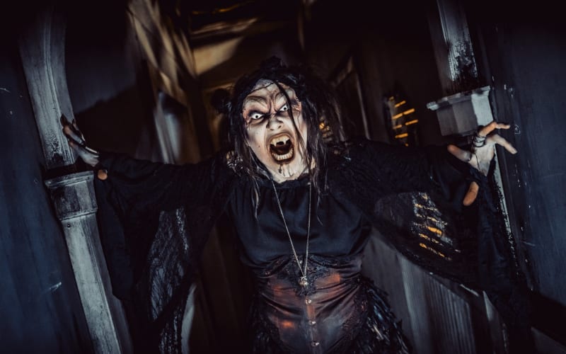13th Floor Haunted House Houston, from its own website