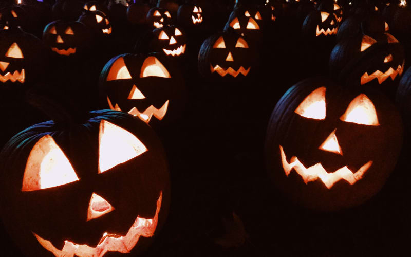 Hollow Oaks Corn Maze, from its own website