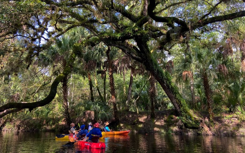 Kayaking Hillsborough River State Park, from its own website
