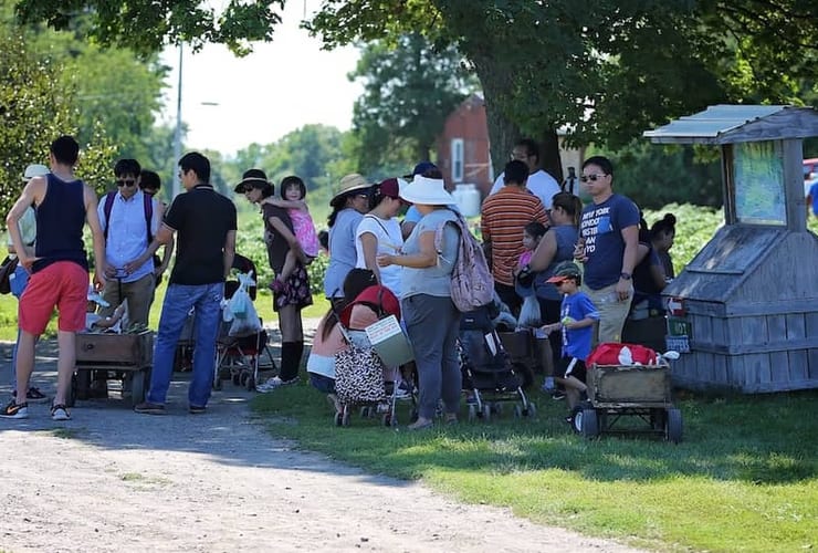 Lawrence Farms Orchards, from its own website