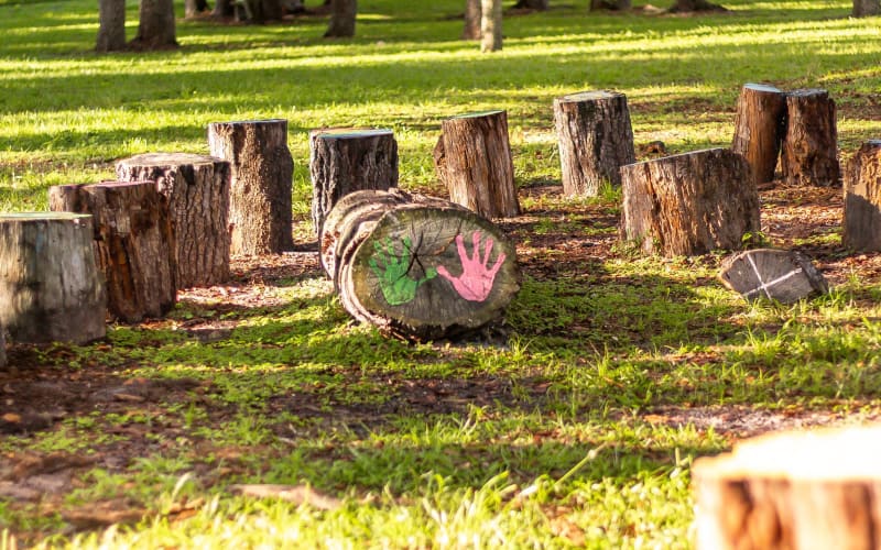 Mead Botanical Garden, from its own website
