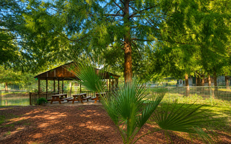 East Texas Gators and Wildlife Park, from its own website
