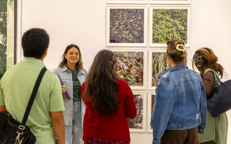 Pérez Art Museum Miami, from its own website