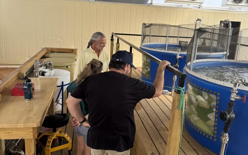 Oxford Family Farms, from its own website