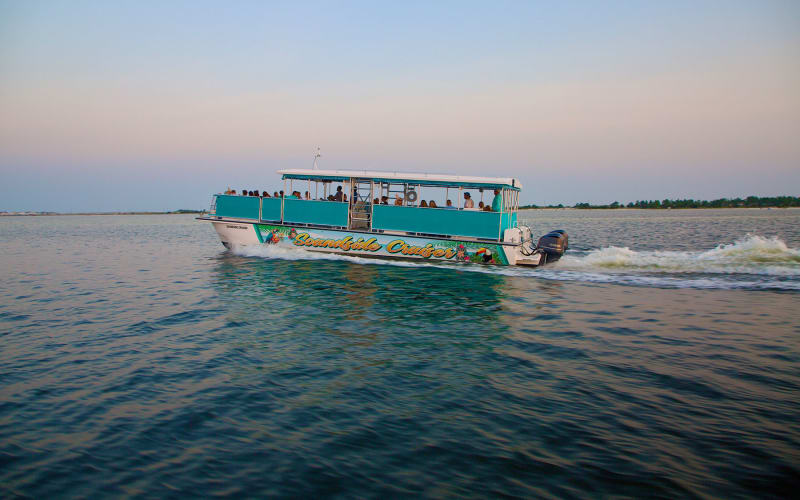 Soundside Cruiser | Destin’s #1 Dolphin Cruise, from its own website