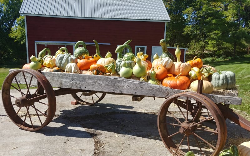 Starlight Acres, from its own website