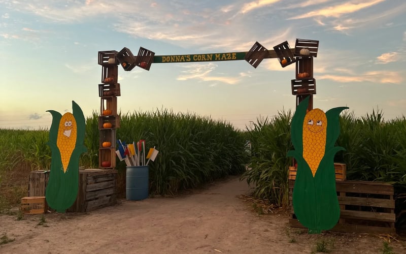 Donna's Corn Maze, from its own website