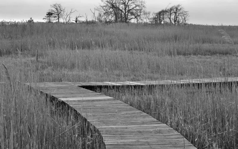 South Shore Nature Center, from its own website