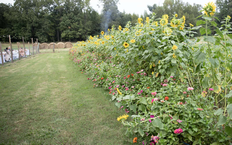 Old Brownsville Farms, from its own website