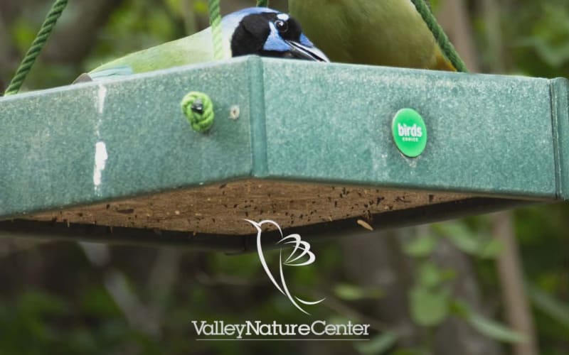 Valley Nature Center, from its own website