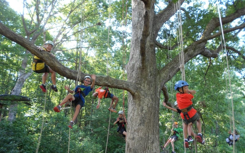 Piedmont Tree Climbing, from its own website