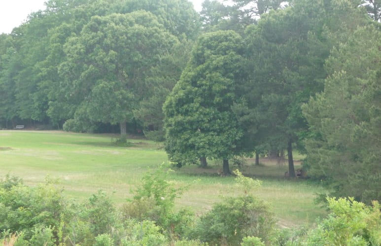 Blueberry Ridge Farm & Pumpkin Patch, from its own website
