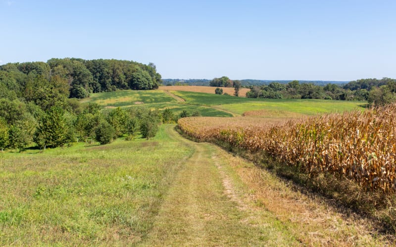Natural Lands' ChesLen Preserve, from its own website