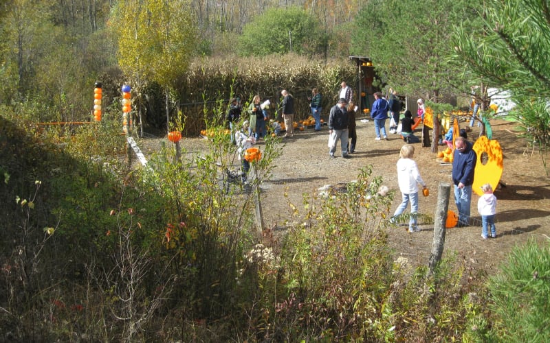 Mohawk Valley Heritage Railroad, from its own website