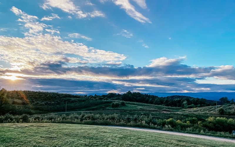 Perry Lowe Orchards, from its own website