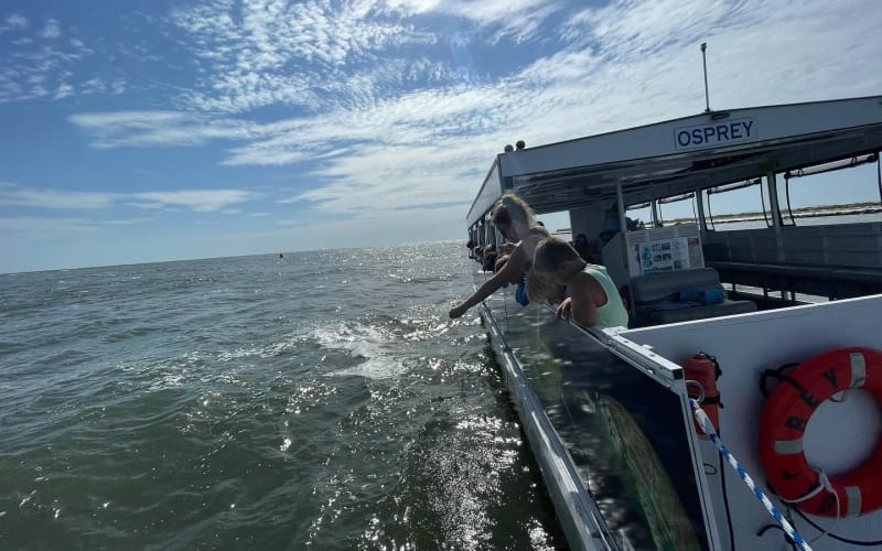 Florida Water Warriors, from its own website