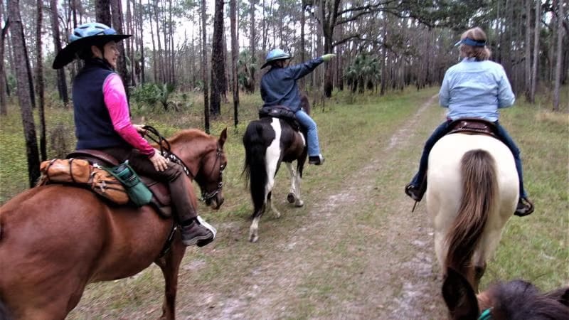 Colt Creek State Park, from its own website