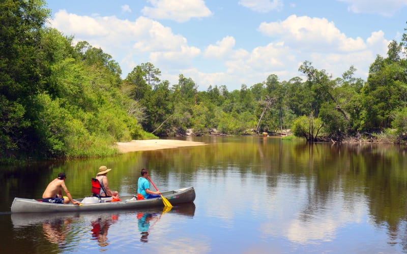 Blackwater River State Park, from its own website