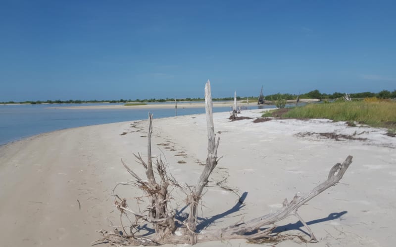Anclote Key Preserve State Park, from its own website
