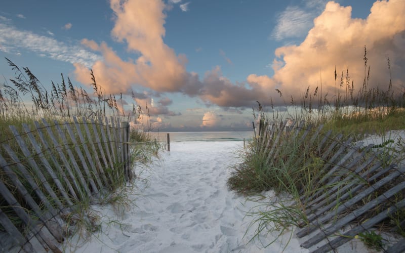 Henderson Beach State Park, from its own website